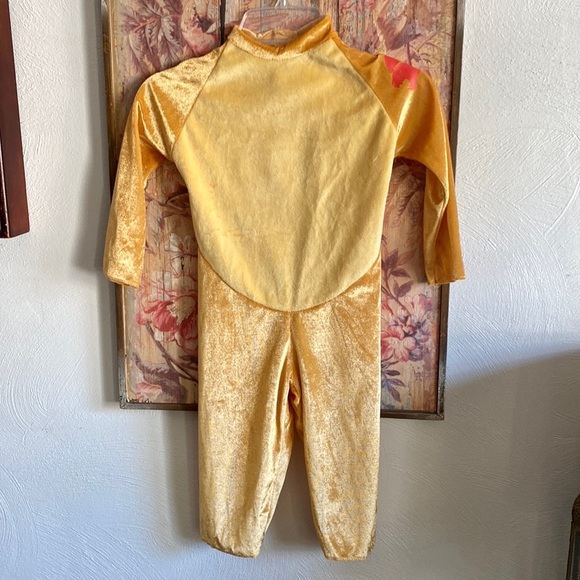 🚫SOLD🚫 DISNEY THE LION KING SIMBA COSTUME LION COSTUME 3 PIECE COSTUME SET KIDS - Picture 4 of 17
